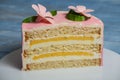 slice of delicious cake One piece of cake. sweet dessert on wooden background
