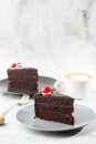 A slice of delicious chocolate cake with cherry on top on marble background. Piece of Cake on a Plate. Sweet food. Sweet dessert. Royalty Free Stock Photo