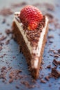 Slice of delicious chocolate and mascarpone cake Royalty Free Stock Photo