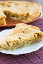 Slice of delicious fresh baked american apple pie on a plate Royalty Free Stock Photo