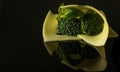 Slice Edamer cheese with broccoli and basil sprig Royalty Free Stock Photo