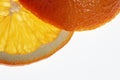 Slice and end of an orange