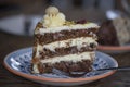 Slice of flavorful three layered sweet and moist carrot cake filled with toasted pecans and delicious cream cheese frosting Royalty Free Stock Photo