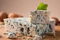 Slice of French Roquefort cheese. Royalty Free Stock Photo