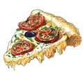 Slice of fresh delicious pizza with with tomato, olives, basil, flowing cheese, piece of yummy hot italian margherita