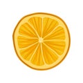 Slice of fresh or dry orange. Citrus fruit. Ingredient for mulled wine. Flat vector element for menu, recipe book or Royalty Free Stock Photo