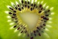 Slice of fresh juicy kiwi fruit close up macro shot Royalty Free Stock Photo