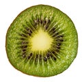 Slice of fresh juicy kiwi fruit. Royalty Free Stock Photo