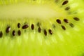 Slice of fresh juicy kiwi fruit with seeds close up, macro background. Royalty Free Stock Photo