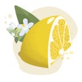 A slice of fresh and juicy lemon.
