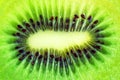 Slice of fresh kiwi fruit. Beautiful natural background. Royalty Free Stock Photo