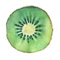 Slice of fresh kiwi fruit. Royalty Free Stock Photo