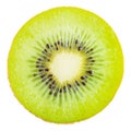 Slice of fresh kiwi fruit. Royalty Free Stock Photo