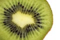 Slice of fresh kiwi fruit isolated on white background. Royalty Free Stock Photo