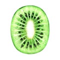 Slice of fresh kiwi fruit isolated on white background Royalty Free Stock Photo