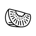 slice fresh kiwi line icon vector illustration Royalty Free Stock Photo