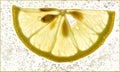 Slice of a fresh lemon