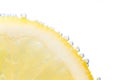 Slice of fresh lemon with fizz bubbles