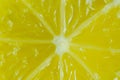 Slice of fresh and lemon, taken by macro shooting from above Royalty Free Stock Photo