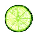 Slice of fresh lime on white background Royalty Free Stock Photo