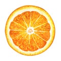 Slice of fresh orange isolated on white background Royalty Free Stock Photo