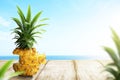 Slice of fresh pineapple on wooden table with ocean view Royalty Free Stock Photo