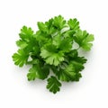 Ultra Hd Render Of Fresh Coriander On White Background