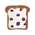 Slice of fresh toasted rye bread with cottage cheese and blueberries. Delicious and healthy sandwich. Flat vector icon