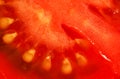 Slice of fresh tomato, pulp structure visible under 1.5x magnification microscope -  image width = 23mm Royalty Free Stock Photo