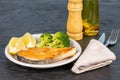 Slice of fried salmon for dinner on the dark table. Royalty Free Stock Photo