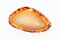 Slice of gem thin cut piece in different tones of yellow and orange and natural surface