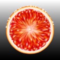 Slice grapefruit on black background