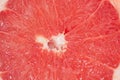 Slice of grapefruit close-up macro copy space Royalty Free Stock Photo
