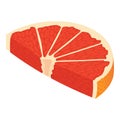 Slice grapefruit icon, isometric style Royalty Free Stock Photo