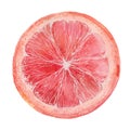 Slice of grapefruit