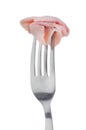 Slice of ham skewered on a fork Royalty Free Stock Photo