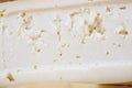 Slice of hard cheese, goat`s milk. Typical soft texture and whitish color. Farm homemade cheese. The concept of