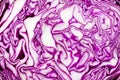 A slice of a head of red cabbage. Close-up. Texture background Royalty Free Stock Photo