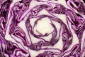 Slice head red cabbage macro background. close up Royalty Free Stock Photo