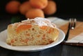 Homemade apricot pie. Royalty Free Stock Photo