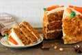 Slice of homemade carrot cake with cream cheese frosting, side view table scene against white wood Royalty Free Stock Photo