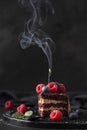 slice of homemade chocolate cake with fresh berries and birthday candle Royalty Free Stock Photo