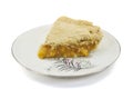 Slice of Homemade Peach Pie