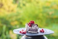 Slice of ice cream tiramisu cake with cranberries Royalty Free Stock Photo