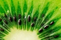 Slice of juicy kiwi fruit Royalty Free Stock Photo