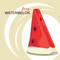 Slice of juicy watermelon on the abstract backgrou