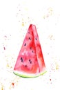 slice of juicy watermelon with colorful splashes