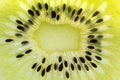 Slice Kiwi Fruit Royalty Free Stock Photo