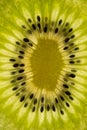 Slice of kiwi fruit Royalty Free Stock Photo