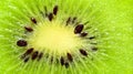 Slice of kiwi fruit on a full frame. Fresh juicy fruit slice closeup Royalty Free Stock Photo